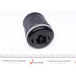 Подушка пневмопідвіски (ззаду) BMW X5 00-06 (R) 