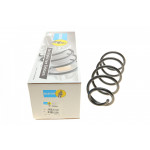 Пружина (задня) Fiat Punto/Grande Punto 05- 