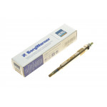 Свічка розжарювання Fiat Ducato/Scudo/Citroen Berlingo 2.0/2.2JTD/HDI 