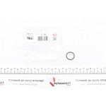 Прокладка фазорегулятора BMW 