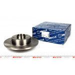 Диск гальмівний (задній) Renault Trafic 01- (280х12) (з підшипником) 