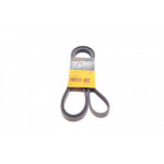 Ремінь генератора BMW 3 (E46)/5 (E39) 1.8D/Land Rover 2.0 Td4 4x4 00-06 (5PK2030) 