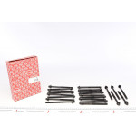 Болти головки (к-кт 22шт.) Citroen Jumper/Peugeot Boxer 2.5 TDI 96-02(M10/M12) 