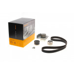 Комплект ГРМ + помпа Citroen Berlingo/Jumpy/Xsara/Peugeot 206/Expert/Partner 2.0HDI 98-11 (25x141z) 