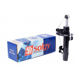 Амортизатор (передній) Ford Focus 03- (R) (Газ) 