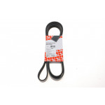 Ремінь генератора MB Sprinter OM601/602 (PS) 