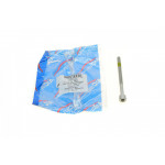 Болт кріплення форсунки MB Sprinter/Vito CDI (OM611/612/642/646) 