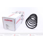 Пружина (передня) Renault Megane I 1.9D/dCi/dTi (сед./ун/накл.з.ч/вен)/Scenic I 1.4-1.8 (вен) 96-03 