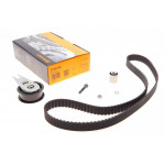 Комплект ГРМ VW Golf III/Passat 1.9 TDI 93-97 (25.4x137z) 