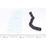 Патрубок радіатора (нижній) C-class (W202)/CLK-class (A208/C208)/SLK-class (R170) 2.4-3.2 97-04 