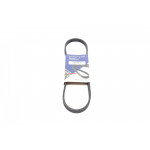 Ремінь генератора Renault Kangoo 1.2 97- 