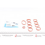 Прокладка колектора впускного Fiat Doblo/Opel Combo 1.4i 10- (к-кт) 