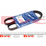 Ремінь генератора Renault Trafic II 1.9dCi 01- (5PK1125) 