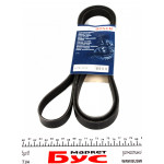 Ремінь генератора VW T4 2.5TDI 90-03 (6PK2213) 