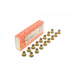 Сальник клапана (впуск/випуск) Citroen Jumper/Jumpy/Peugeot Boxer/Expert 2.0 HDi 11- (к-кт 16шт) 