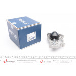 Помпа води Renault Kangoo 1.4-1.6i 96- 