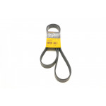 Ремінь генератора Renault Trafic/Scenic/Megane/Talisman 1.6dCi 14-/Opel Movano 2.3CDTI 14- 