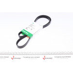 Ремінь генератора Ford Escort 1.6/1.8i 