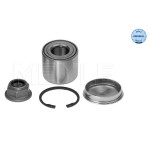 Підшипник маточини (задньої) Renault Megane II 02- (25x55x45) (К-кт) 