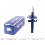 Амортизатор (передній) Renault Scenic 03- 