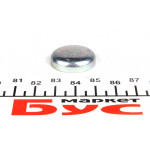 Заглушка блоку циліндрів VW Caddy/T4/T5/LT/Crafter (d=24) 