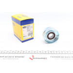 Ролик генератора Renault Trafic 1.9dСi 01- (натяжний) 