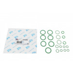 Прокладка компресора кондиціонера ущільнююча Renault Kangoo 1.9 dCi 97- (К-кт) 