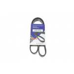 Ремінь генератора Ford C-Max II/Focus III 1.6Ti/LPG 10- 