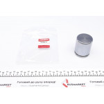 Поршень супорта (переднього) MB Sprinter/VW Crafter (48x60mm) 