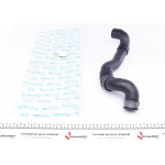 Патрубок радіатора (нижній) MB C-class (CL203/S203/W203) 2.2D 00-07 