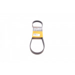 Ремінь генератора BMW 3 (E36)/5 (E34/E39) 2.0/2.5i 90-00/Ford Focus 2.5 05-12/Volvo C30/C70 04-13 