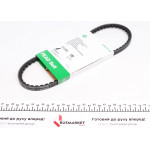 Ремінь генератора Fiat Ducato/Citroen Jumper 1.9D/2.0 94-01 