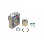 Підшипник маточини (задньої) Renault Megane II/Scenic II (25x55x48) 