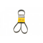 Ремінь генератора Kia Cerato/Rio 1.5-1.6 CRDI 05-/MB A-class (W169/W176) 1.8-2.2CDI 04-18 