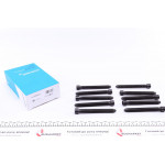 Болти головки (к-кт 10шт.) Audi A3/A4/A6/Skoda Octavia/VW Bora/Golf IV/Passat 1.8 95- 