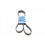 Ремінь генератора Opel Vectra 1.8-2.2 86-03/Audi A6 2.5TDI 94-97/Chevrolet Lacetti 1.8 05- (6PK1725) 