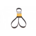 Ремінь генератора Land Rover Range Rover/Toyota Land Cruiser 120 4.0i/4.6 94-10 