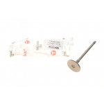 Клапан (випуск) Citroen Berlingo 2.0HDi 99-11 (33.8x6x107.1) (азотований) 