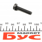 Болт кріплення розподільного валу MB Sprinter OM651 (M6x30) 