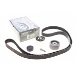 Комплект ГРМ VW Passat/Audi A4/A6 2.5 TDI 97-06 