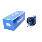 Амортизатор (передній) Renault Kangoo 97-08 