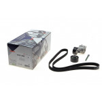 Комплект ременя генератора Citroen Berlingo/Peugeot Partner 1.6HDi 05- (6PK1353) 