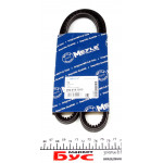 Ремінь генератора BMW 3 (E30)/5 (E34) (AVX10X1013) 