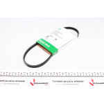 Ремінь генератора Hyundai Tucson/Kia Cerato 2.0 04- 