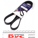 Ремінь генератора Renault Kangoo 1.9dTi/dCi 01- (6PK1212) 