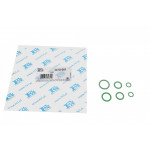 Прокладка компресора кондиціонера ущільнююча Renault Clio III/IV 05-/Dokker 12- (К-кт) 