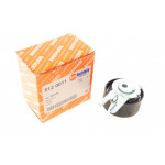 Ролик ГРМ Citroen Berlingo/Nemo 1.6HDI (натяжний) (60x29) 