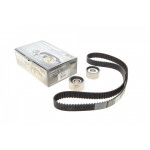 Комплект ГРМ Fiat Ducato 2.5D -02/Citroen Jumper 2.8JTD 00-/Renault Master 2.8DTI 98-01 