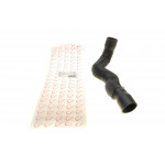 Патрубок інтеркулера (верхній) MB Vito (W638) 2.2CDI -03 (OM611/M111) 