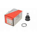 Опора кульова (передня/знизу) Renault Megane II/Scenic 02- (d=16mm) 